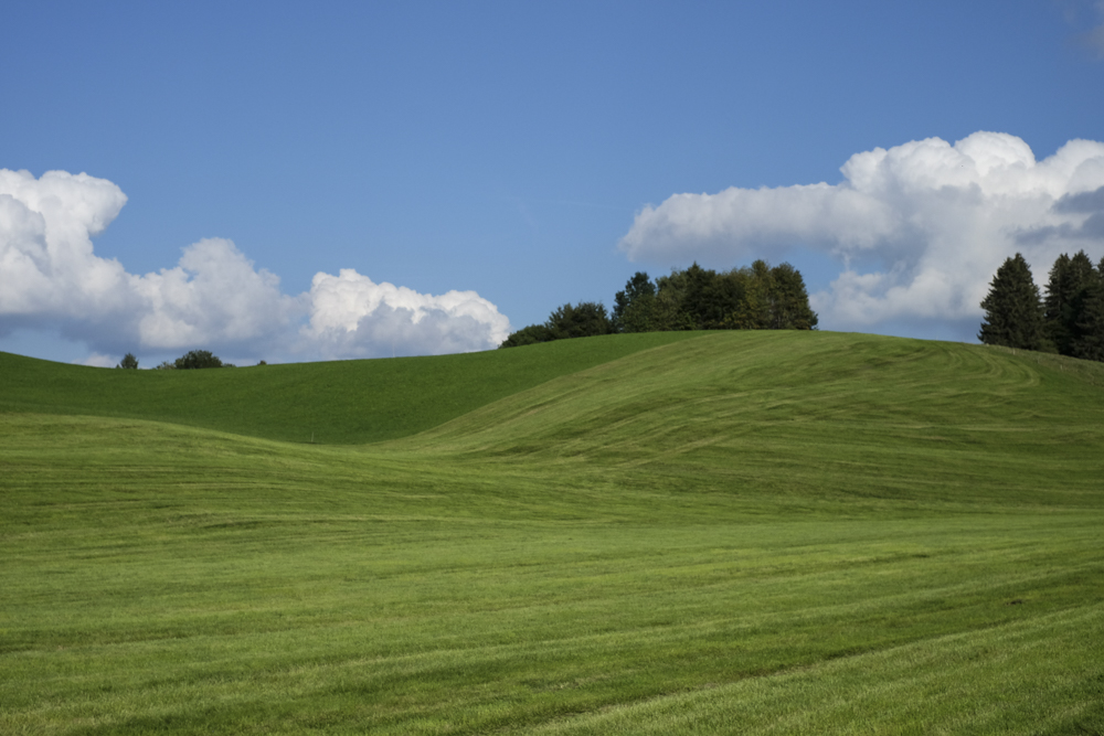 grüne Wiese, blauer Himmel mit weißen Wolken