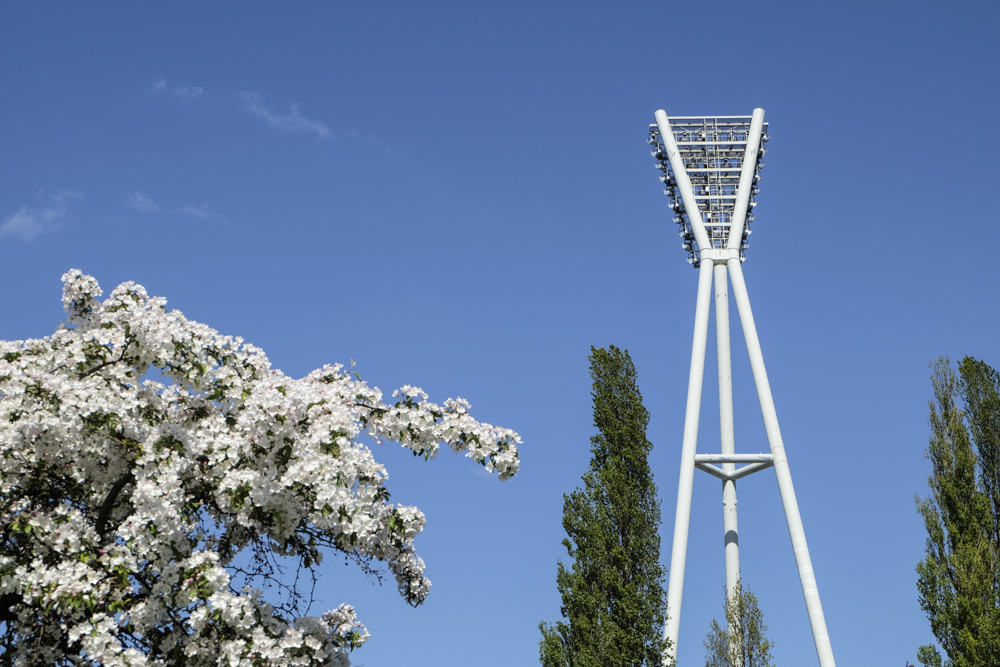 Flutlicht, Berlin, Mauerpark